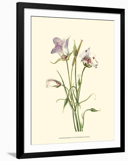 Delicate Wildflowers IV-null-Framed Art Print