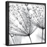 Delicate Wisps II-null-Framed Art Print