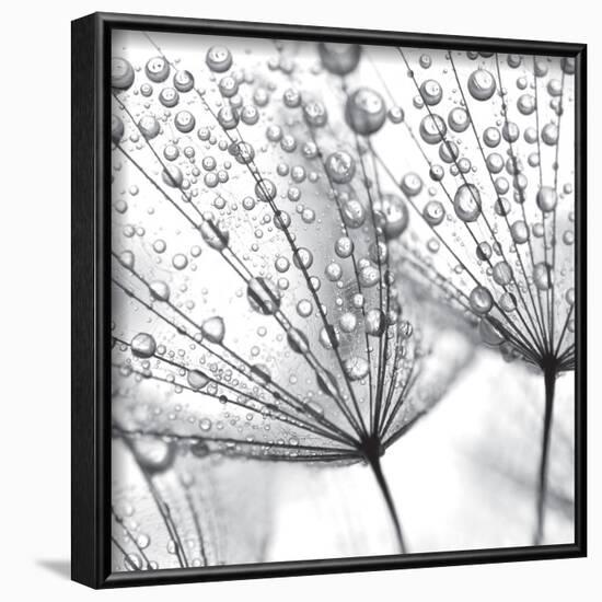 Delicate Wisps II-null-Framed Art Print