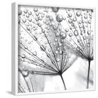 Delicate Wisps II-null-Framed Art Print