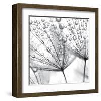 Delicate Wisps II-null-Framed Art Print