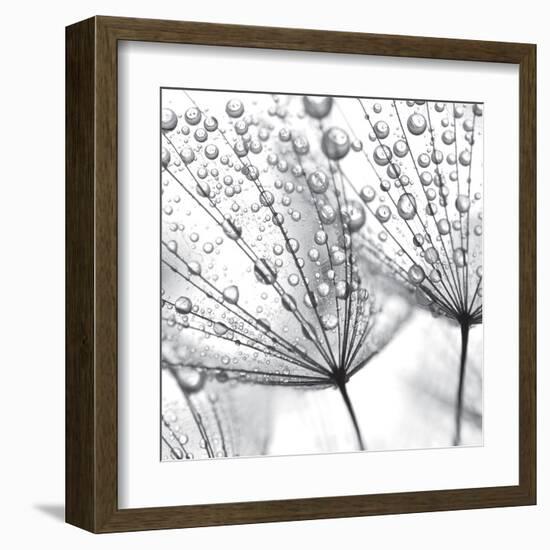 Delicate Wisps II-null-Framed Art Print