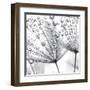 Delicate Wisps II-null-Framed Art Print