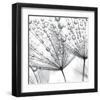 Delicate Wisps II-null-Framed Art Print