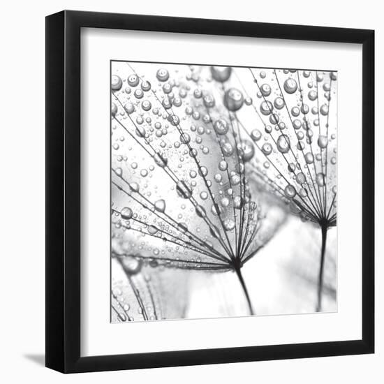 Delicate Wisps II-null-Framed Art Print