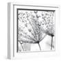 Delicate Wisps II-null-Framed Art Print