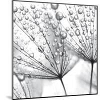 Delicate Wisps II-null-Mounted Art Print