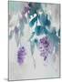 Delicate Wisteria-Tania Bello-Mounted Giclee Print