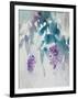 Delicate Wisteria-Tania Bello-Framed Giclee Print