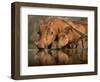 Delicate-Jaco Marx-Framed Photographic Print