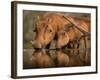 Delicate-Jaco Marx-Framed Photographic Print