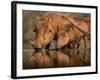 Delicate-Jaco Marx-Framed Premium Photographic Print