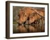 Delicate-Jaco Marx-Framed Photographic Print