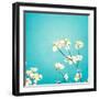 Delicate-Carolyn Cochrane-Framed Photographic Print