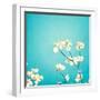 Delicate-Carolyn Cochrane-Framed Photographic Print