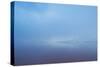 Delicately Colored, Fog Shrouded, Laguna Colorada at Sunrise-Alex Saberi-Stretched Canvas