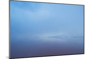 Delicately Colored, Fog Shrouded, Laguna Colorada at Sunrise-Alex Saberi-Mounted Photographic Print