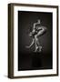 Delicately Poised-Ross Oscar-Framed Photographic Print