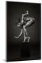 Delicately Poised-Ross Oscar-Mounted Photographic Print