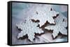 Delicious Christmas Cookies-Tammy Hanratty-Framed Stretched Canvas