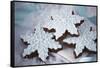 Delicious Christmas Cookies-Tammy Hanratty-Framed Stretched Canvas