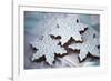 Delicious Christmas Cookies-Tammy Hanratty-Framed Photographic Print