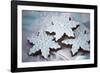 Delicious Christmas Cookies-Tammy Hanratty-Framed Photographic Print