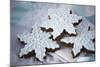 Delicious Christmas Cookies-Tammy Hanratty-Mounted Photographic Print