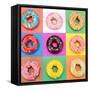 Delicious Donuts Isolated on Colorful Background-EM Arts-Framed Stretched Canvas