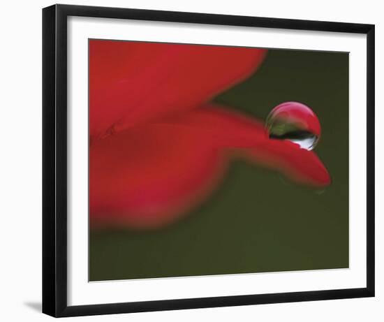 Delicious Drop-Mikio Watanabe-Framed Art Print