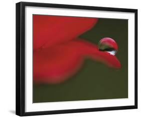 Delicious Drop-Mikio Watanabe-Framed Art Print