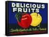 Delicious Fruits-null-Framed Stretched Canvas