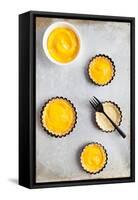 Delicious Lemon Curd Tartlets-area381-Framed Stretched Canvas