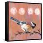 Delight Chickadee-Molly Reeves-Framed Stretched Canvas