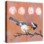 Delight Chickadee-Molly Reeves-Stretched Canvas