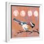 Delight Chickadee-Molly Reeves-Framed Photographic Print