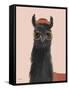 Delightful Alpacas IV-Becky Thorns-Framed Stretched Canvas