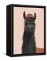 Delightful Alpacas IV-Becky Thorns-Framed Stretched Canvas