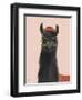 Delightful Alpacas IV-Becky Thorns-Framed Art Print