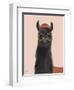 Delightful Alpacas IV-Becky Thorns-Framed Art Print