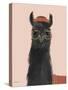 Delightful Alpacas IV-Becky Thorns-Stretched Canvas