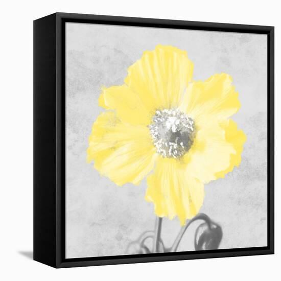 Delightful Lumination 1-Marcus Prime-Framed Stretched Canvas