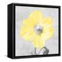 Delightful Lumination 1-Marcus Prime-Framed Stretched Canvas