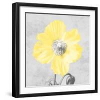 Delightful Lumination 1-Marcus Prime-Framed Art Print