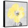 Delightful Lumination 1-Marcus Prime-Framed Stretched Canvas