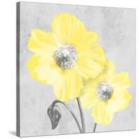 Delightful Lumination 2-Marcus Prime-Stretched Canvas