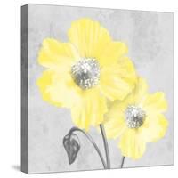 Delightful Lumination 2-Marcus Prime-Stretched Canvas