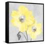 Delightful Lumination 2-Marcus Prime-Framed Stretched Canvas