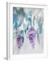 Delightful Wisteria-Tania Bello-Framed Giclee Print