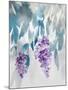 Delightful Wisteria-Tania Bello-Mounted Giclee Print